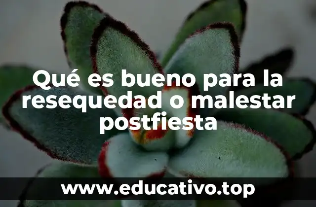 Qué es bueno para la resequedad o malestar postfiesta
