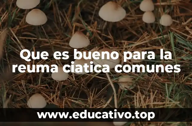 Que es bueno para la reuma ciatica comunes