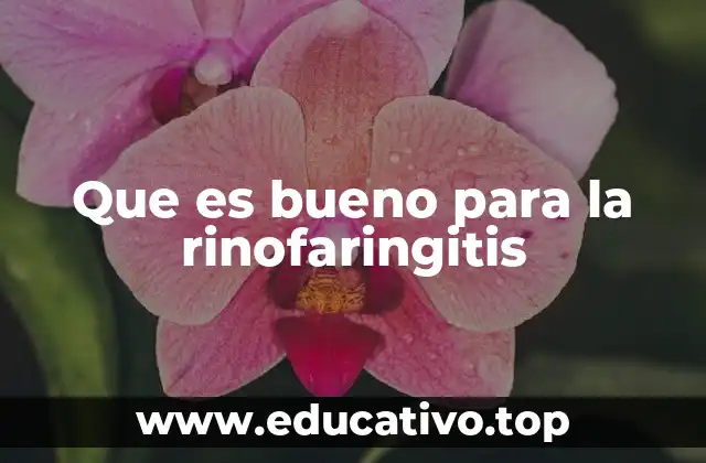 Que es bueno para la rinofaringitis