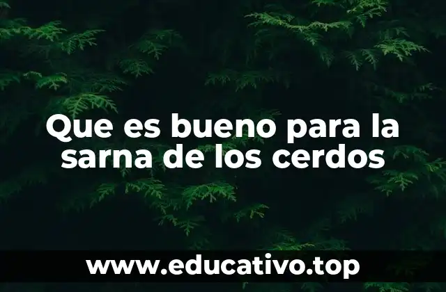 Cómo abordar el tratamiento de la sarna en cerdos sin mencionar directamente el término