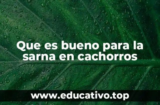 Que es bueno para la sarna en cachorros