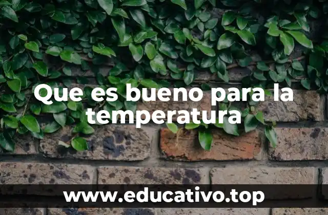 Que es bueno para la temperatura