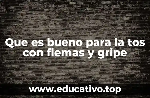 Que es bueno para la tos con flemas y gripe