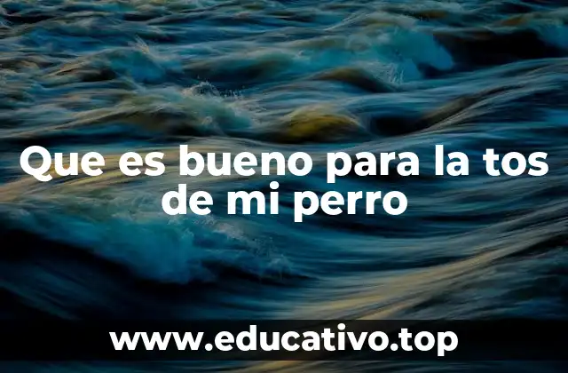 Que es bueno para la tos de mi perro