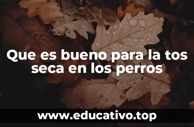 Que es bueno para la tos seca en los perros