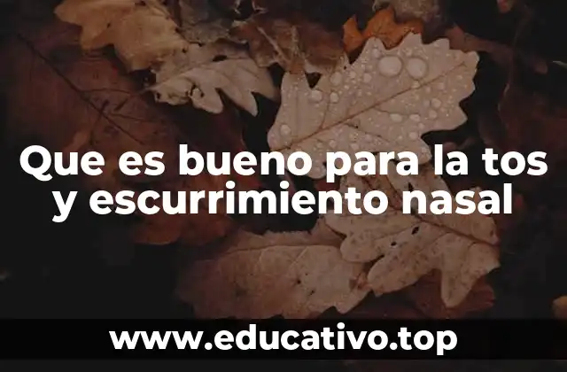 Que es bueno para la tos y escurrimiento nasal