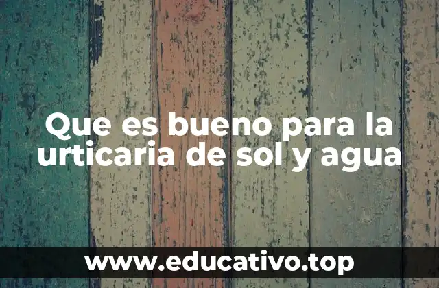 Que es bueno para la urticaria de sol y agua