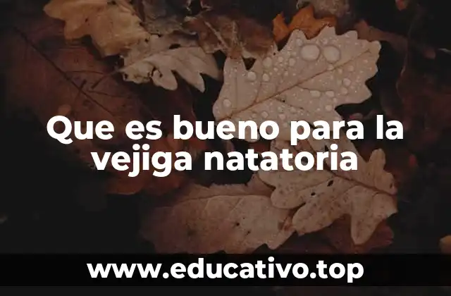 Que es bueno para la vejiga natatoria