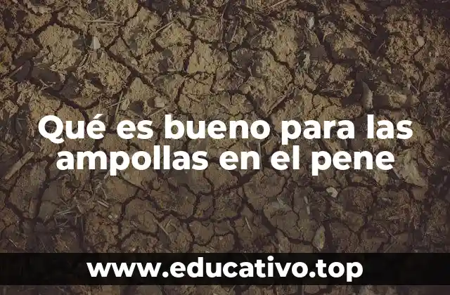 Qué es bueno para las ampollas en el pene