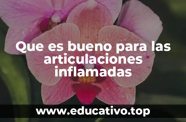 Que es bueno para las articulaciones inflamadas