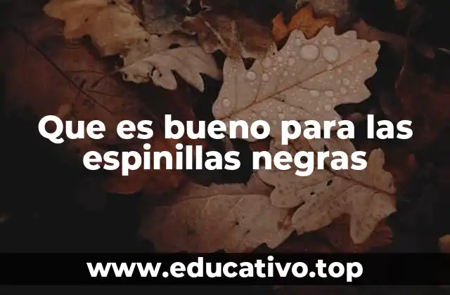 Que es bueno para las espinillas negras