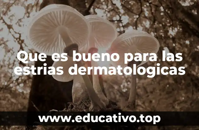 Que es bueno para las estrias dermatologicas