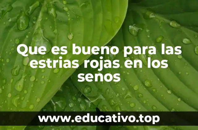 Que es bueno para las estrias rojas en los senos