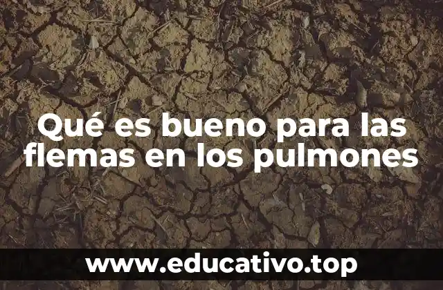 Qué es bueno para las flemas en los pulmones