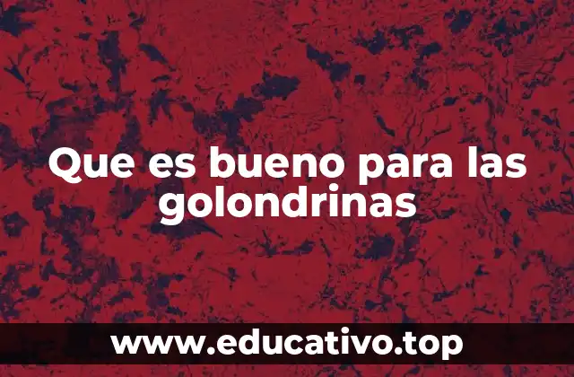 Que es bueno para las golondrinas