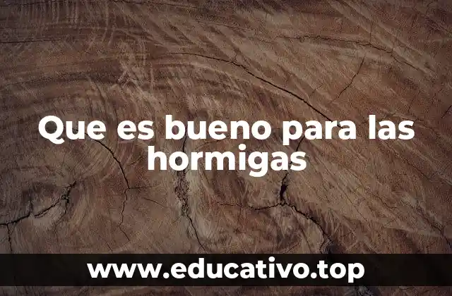 Que es bueno para las hormigas