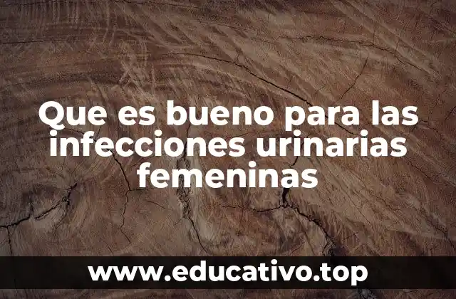 Que es bueno para las infecciones urinarias femeninas