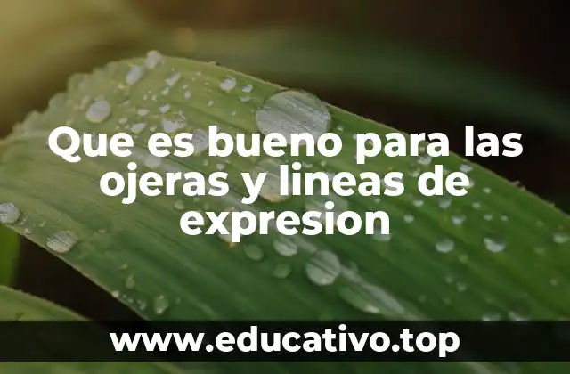 Que es bueno para las ojeras y lineas de expresion