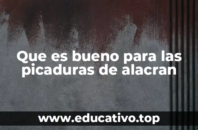 Que es bueno para las picaduras de alacran