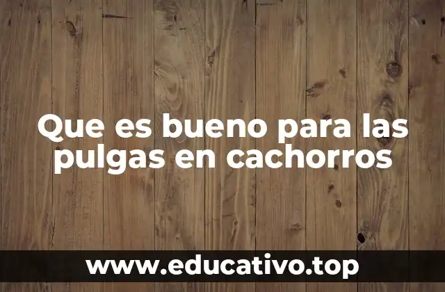 Que es bueno para las pulgas en cachorros