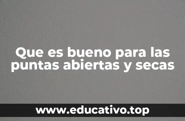 Que es bueno para las puntas abiertas y secas