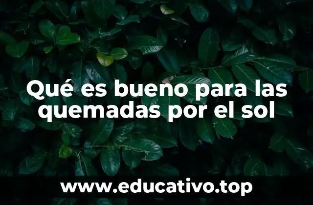 Qué es bueno para las quemadas por el sol