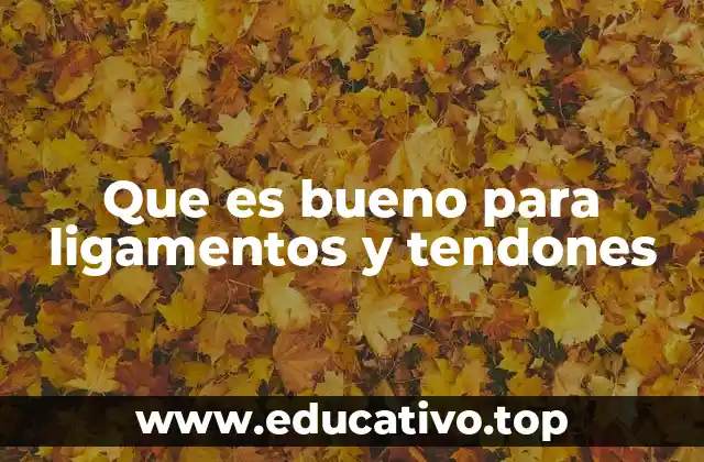 Que es bueno para ligamentos y tendones