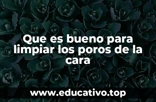 Que es bueno para limpiar los poros de la cara