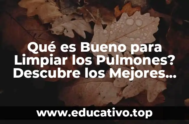 Qué es Bueno para Limpiar los Pulmones? Descubre los Mejores Remedios Naturales