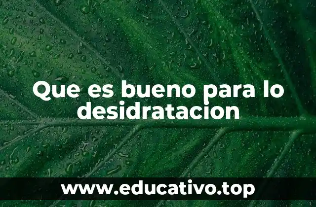 Que es bueno para lo desidratacion