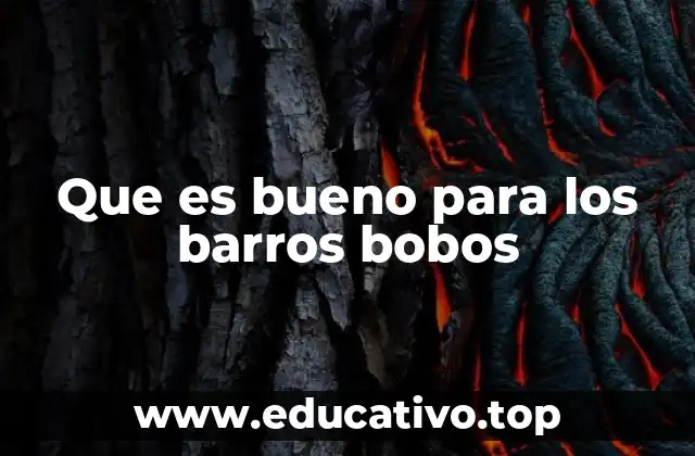 Que es bueno para los barros bobos