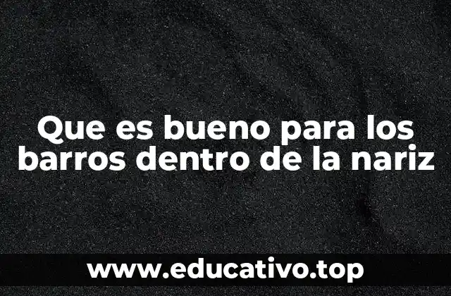 Que es bueno para los barros dentro de la nariz