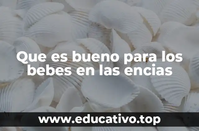 Cómo apoyar el desarrollo dental desde las encías