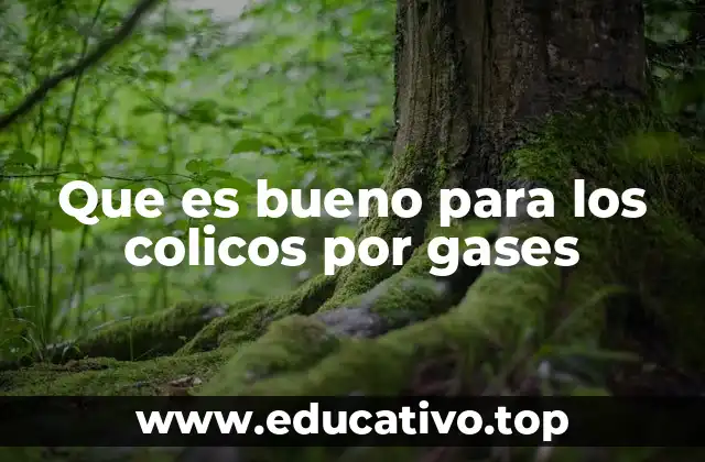 Que es bueno para los colicos por gases