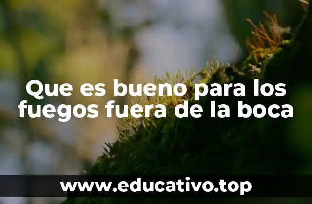 Que es bueno para los fuegos fuera de la boca