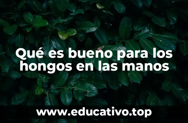 Qué es bueno para los hongos en las manos