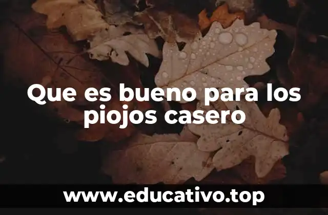 Que es bueno para los piojos casero