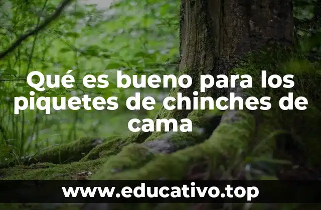 Qué es bueno para los piquetes de chinches de cama