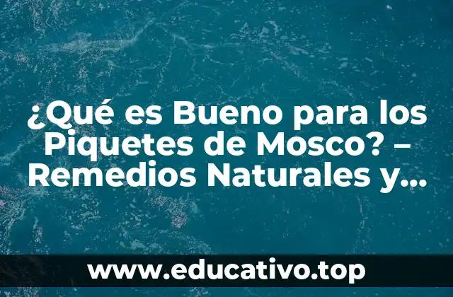 ¿Qué es Bueno para los Piquetes de Mosco? – Remedios Naturales y Tratamientos Efectivos