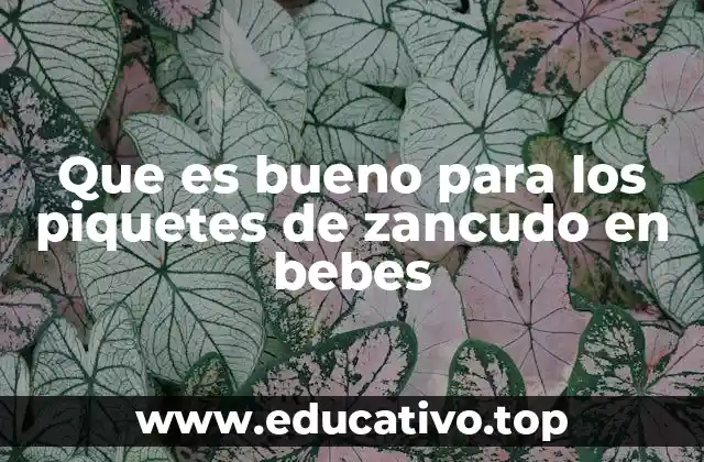 Que es bueno para los piquetes de zancudo en bebes
