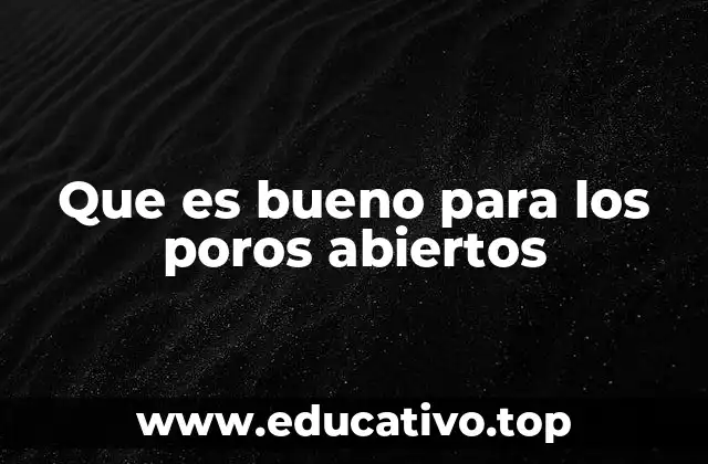 Que es bueno para los poros abiertos