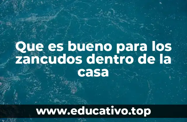 Que es bueno para los zancudos dentro de la casa