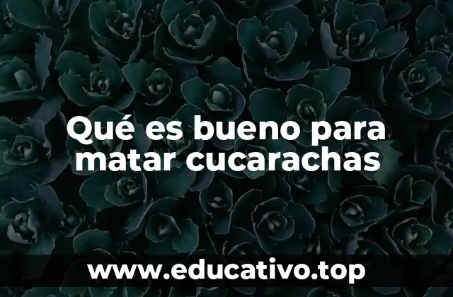 Qué es bueno para matar cucarachas