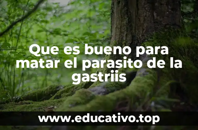Que es bueno para matar el parasito de la gastriis