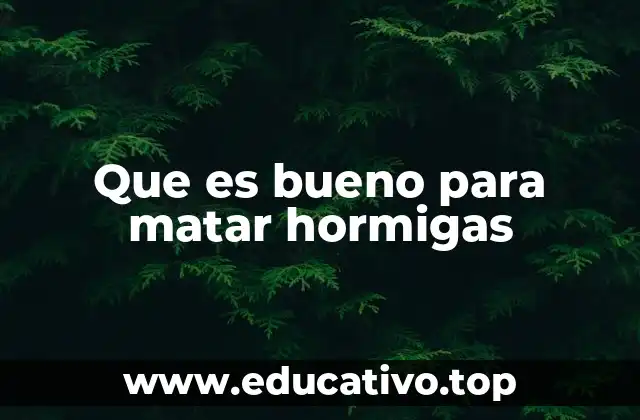 Métodos efectivos para combatir a las hormigas sin matar a las colonias