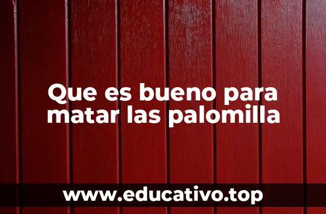 Que es bueno para matar las palomilla