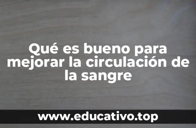 Qué es bueno para mejorar la circulación de la sangre