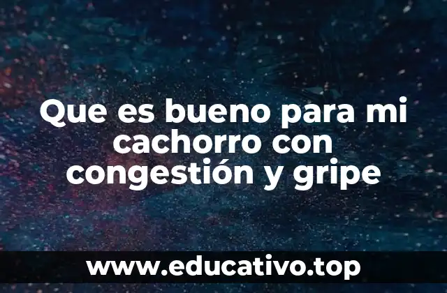 Que es bueno para mi cachorro con congestión y gripe
