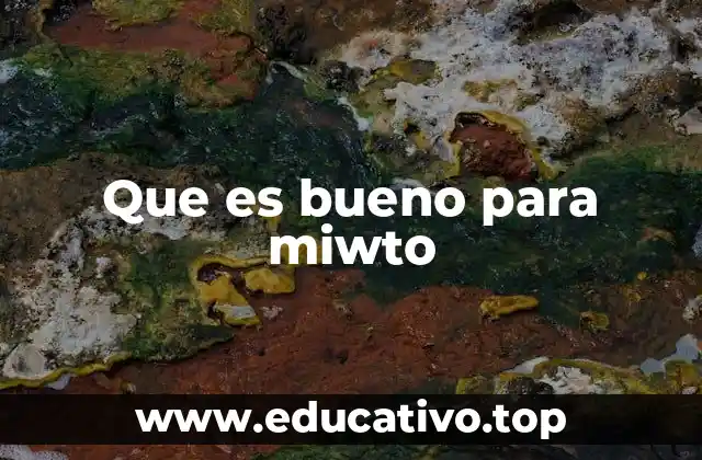 Que es bueno para miwto