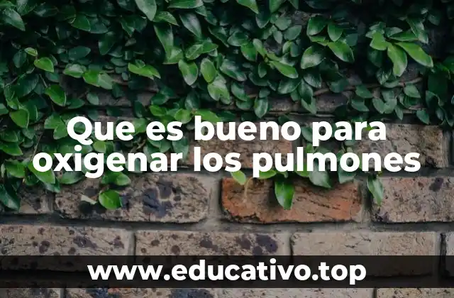 Que es bueno para oxigenar los pulmones